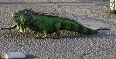 Iguana gta 6